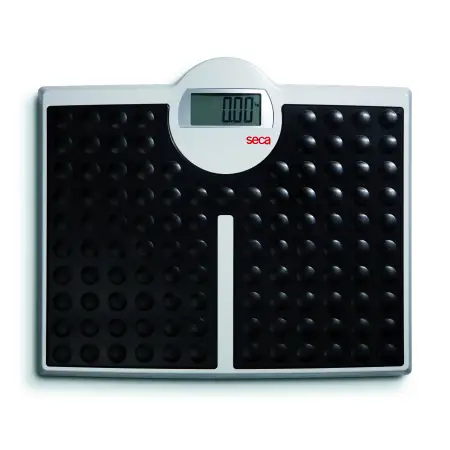 Click Here To Enlarge This Photo Of SECA 813 HIGH CAPACITY PERSONAL SCALE