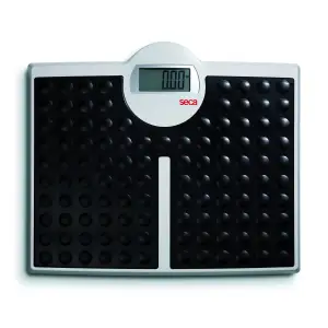 SECA 813 HIGH CAPACITY PERSONAL SCALE