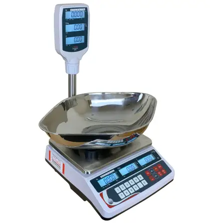 Click Here To Enlarge This Photo Of CSG XTA-P PRICE COMPUTING RETAIL SCALE