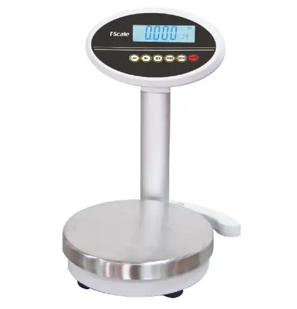 Click Here To Enlarge This Photo Of T-SCALE ROW WEIGHING SCALE
