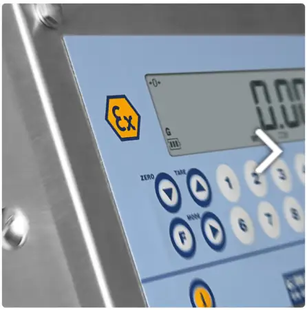 Click Here To Enlarge This Photo Of DINI-ARGEO 2GD ATEX BENCH SCALES